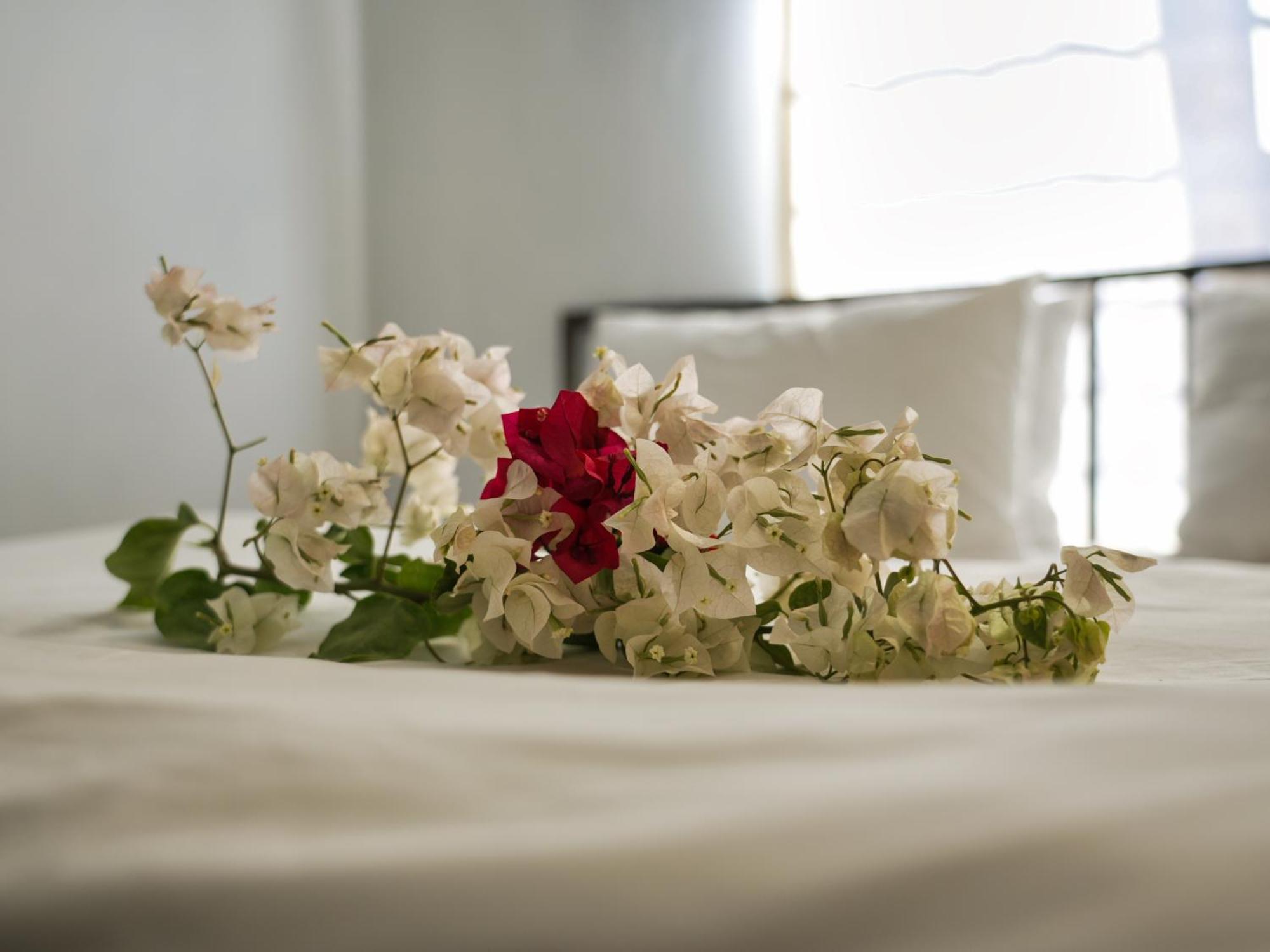 Golentle Home Stay Маун Номер фото